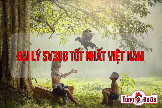 Đại lý SV388 tốt nhất Việt Nam
