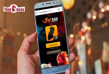 Tải SV388 - Thông báo bảo trì app SV388